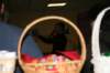 sologne_20091104_21h1310_jnrr09_small.jpg