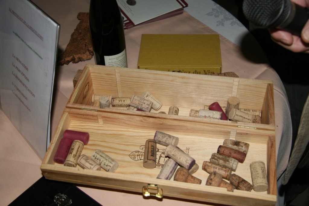sologne_20091104_21h5347_jnrr09.jpg