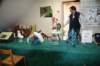 sologne_20091106_13h1013_jnrr09_small.jpg